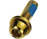 BENGAL Caliper Fixing Bolt - Gold