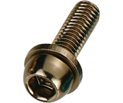 BENGAL Caliper Fixing Bolt - Ti