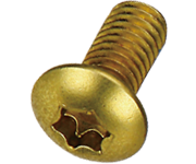 BENGAL  Rotor Fixing Bolt - Gold