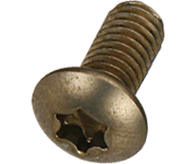 BENGAL Rotor Fixing Bolt - Ti